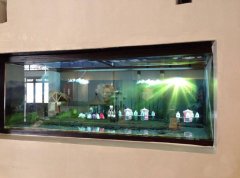 幻影成像系統原理及報價